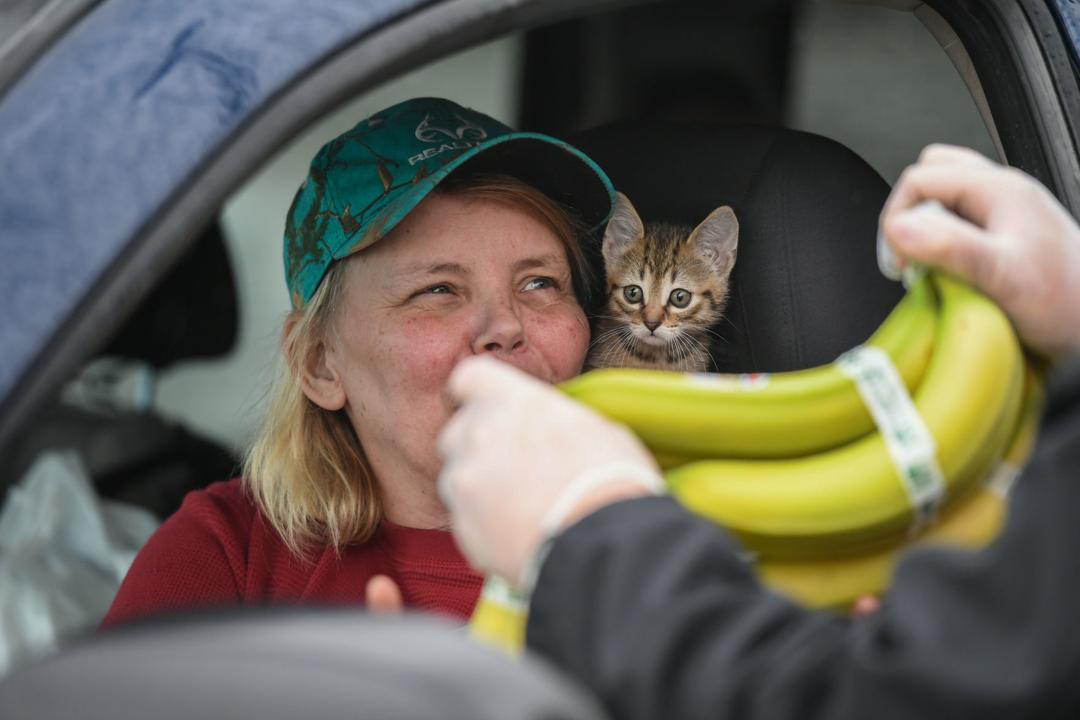 Lisa Snook, of Davenport, Iowa, receives some free bananas from a HyVee employee, while Bitey, her 8-week-old kitten, peeks over her shoulder Tuesday evening, in Davenport, Iowa. 