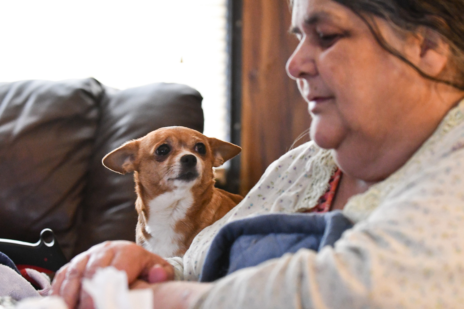 Snookie, a 7-year-old Chihuahua mix, drops her ears as she listens to her owner Terry Allen talk about the Feb. 2 fatal trailer fire, at the Airview Trailer Park, in Milan, Illinois, which killed three of their neighbors: Delores R. Martin, 71, Brittany Danielle Mote, 31, and Thomas J. Conley, 9. (Todd Mizener - Dispatch/Argus) 