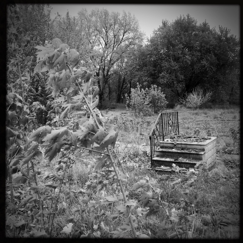 I returned to Barstow, Illinois today for different assignment and couldn’t resist revisiting the abandoned trailer park along the Rock River. A friend, who grew up in Barstow “It's so strange to see the place empty--it's like the rapture hit. It used to be overrun with kids and life!” A cold April wind blows the feral trees sprouting up around the remains of homes in the abandoned trailer park.